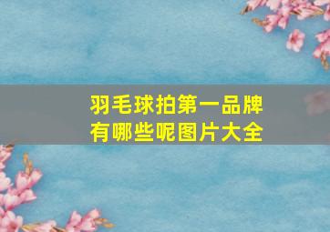 羽毛球拍第一品牌有哪些呢图片大全