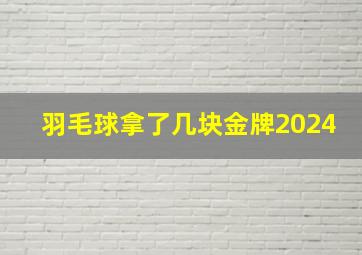 羽毛球拿了几块金牌2024