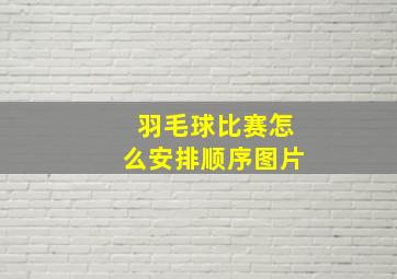 羽毛球比赛怎么安排顺序图片