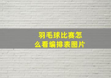 羽毛球比赛怎么看编排表图片