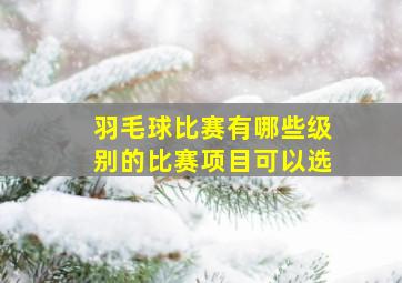 羽毛球比赛有哪些级别的比赛项目可以选