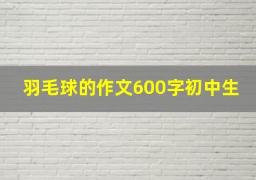 羽毛球的作文600字初中生