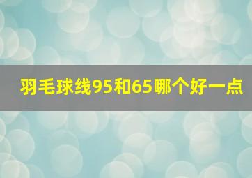 羽毛球线95和65哪个好一点