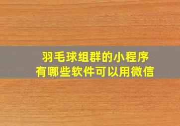 羽毛球组群的小程序有哪些软件可以用微信