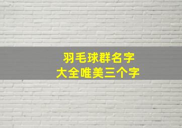 羽毛球群名字大全唯美三个字