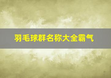 羽毛球群名称大全霸气