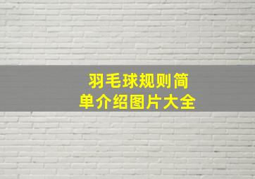 羽毛球规则简单介绍图片大全