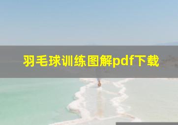 羽毛球训练图解pdf下载