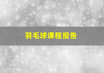 羽毛球课程报告