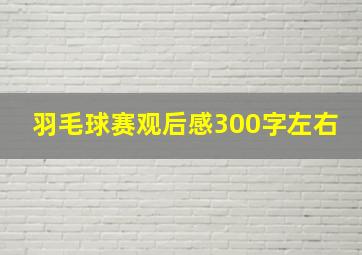 羽毛球赛观后感300字左右