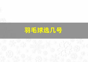 羽毛球选几号