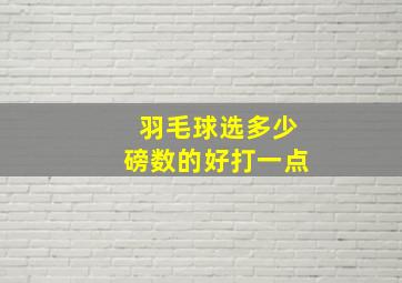 羽毛球选多少磅数的好打一点