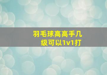 羽毛球高高手几级可以1v1打