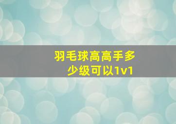 羽毛球高高手多少级可以1v1