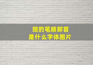 翅的笔顺部首是什么字体图片