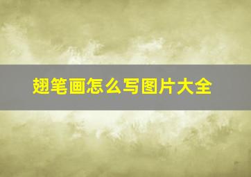 翅笔画怎么写图片大全