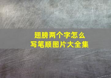 翅膀两个字怎么写笔顺图片大全集