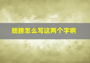 翅膀怎么写这两个字啊