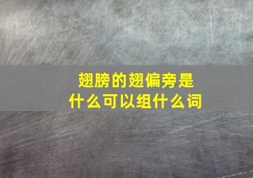 翅膀的翅偏旁是什么可以组什么词