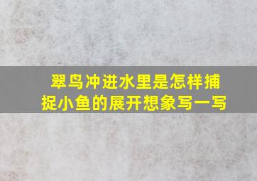 翠鸟冲进水里是怎样捕捉小鱼的展开想象写一写