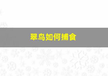 翠鸟如何捕食