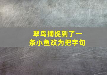 翠鸟捕捉到了一条小鱼改为把字句