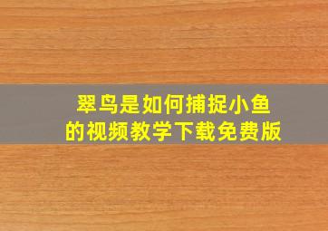 翠鸟是如何捕捉小鱼的视频教学下载免费版