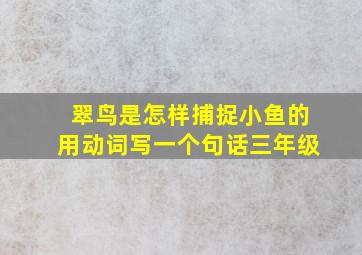 翠鸟是怎样捕捉小鱼的用动词写一个句话三年级