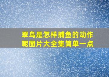 翠鸟是怎样捕鱼的动作呢图片大全集简单一点