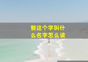 翳这个字叫什么名字怎么读