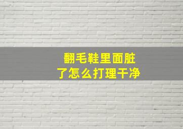 翻毛鞋里面脏了怎么打理干净