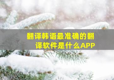 翻译韩语最准确的翻译软件是什么APP