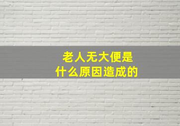 老人无大便是什么原因造成的