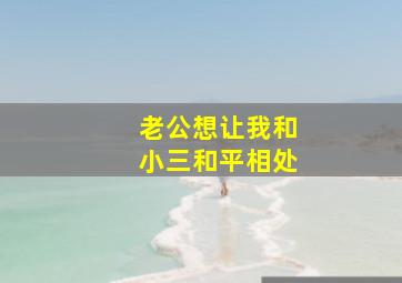 老公想让我和小三和平相处