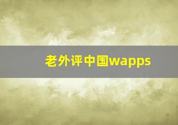 老外评中国wapps