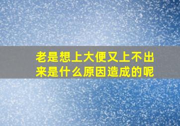 老是想上大便又上不出来是什么原因造成的呢