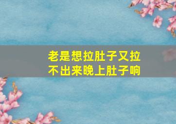 老是想拉肚子又拉不出来晚上肚子响