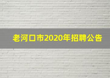 老河口市2020年招聘公告