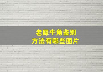 老犀牛角鉴别方法有哪些图片