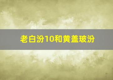 老白汾10和黄盖玻汾