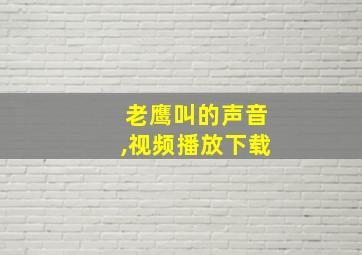 老鹰叫的声音,视频播放下载