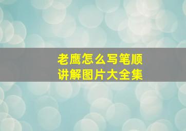 老鹰怎么写笔顺讲解图片大全集