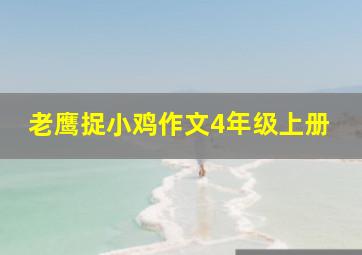 老鹰捉小鸡作文4年级上册