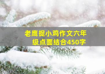 老鹰捉小鸡作文六年级点面结合450字