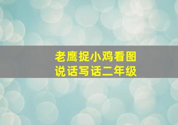 老鹰捉小鸡看图说话写话二年级