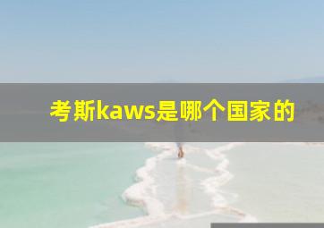 考斯kaws是哪个国家的