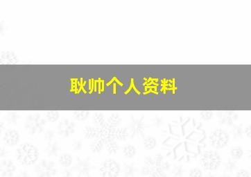 耿帅个人资料