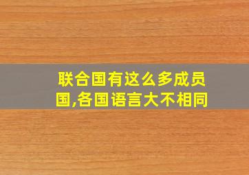 联合国有这么多成员国,各国语言大不相同