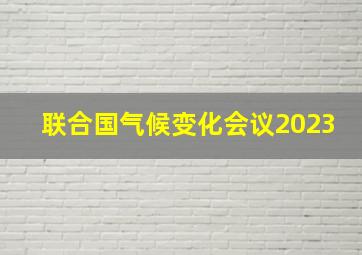 联合国气候变化会议2023