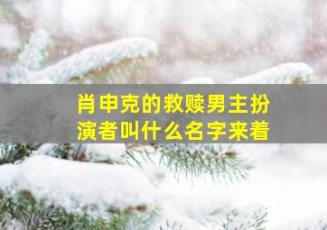 肖申克的救赎男主扮演者叫什么名字来着